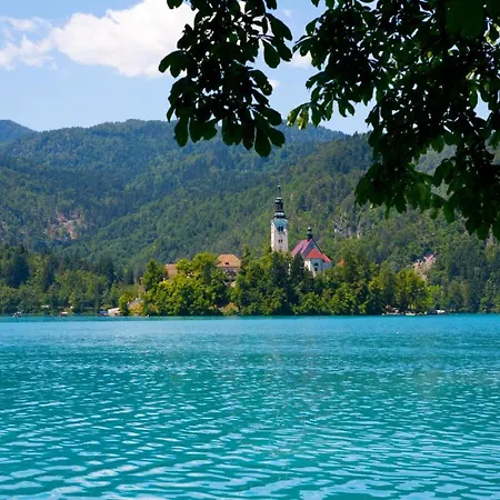 Beautiful In W/ Wifi And 1 Bedrooms *